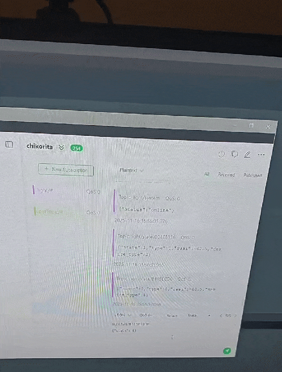 The lights turning on and off as I send data over MQTT